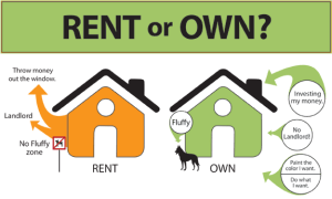 rent-vs-own for fluffy