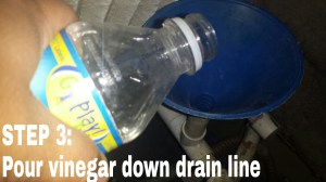 STEP 3: Slowly pour the vinegar down the drain line. (I use a funnel for less mess).