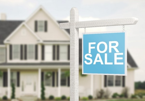 BLOG home pic for sale